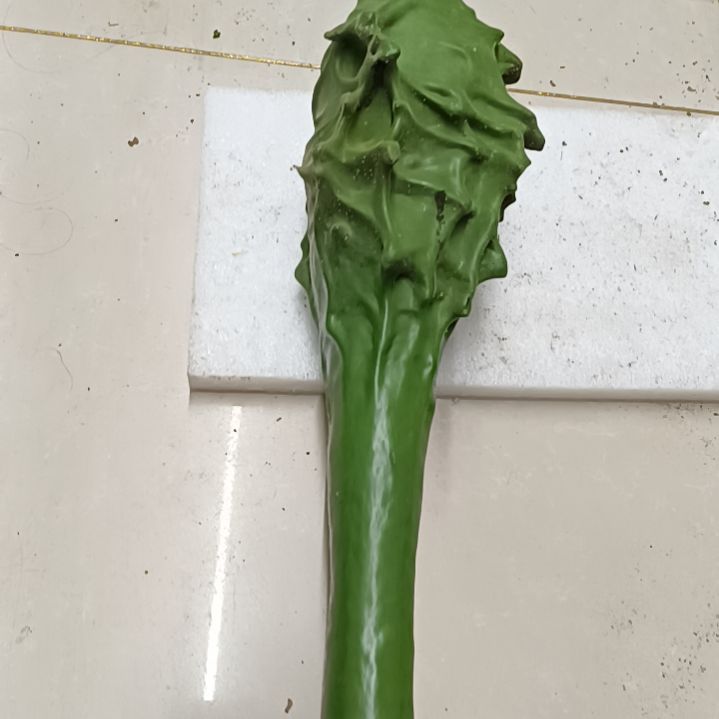 一***流木鹤首葫芦！！！！！！！！！