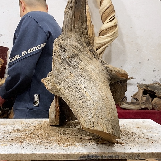 熟****柏木我们都是好孩子