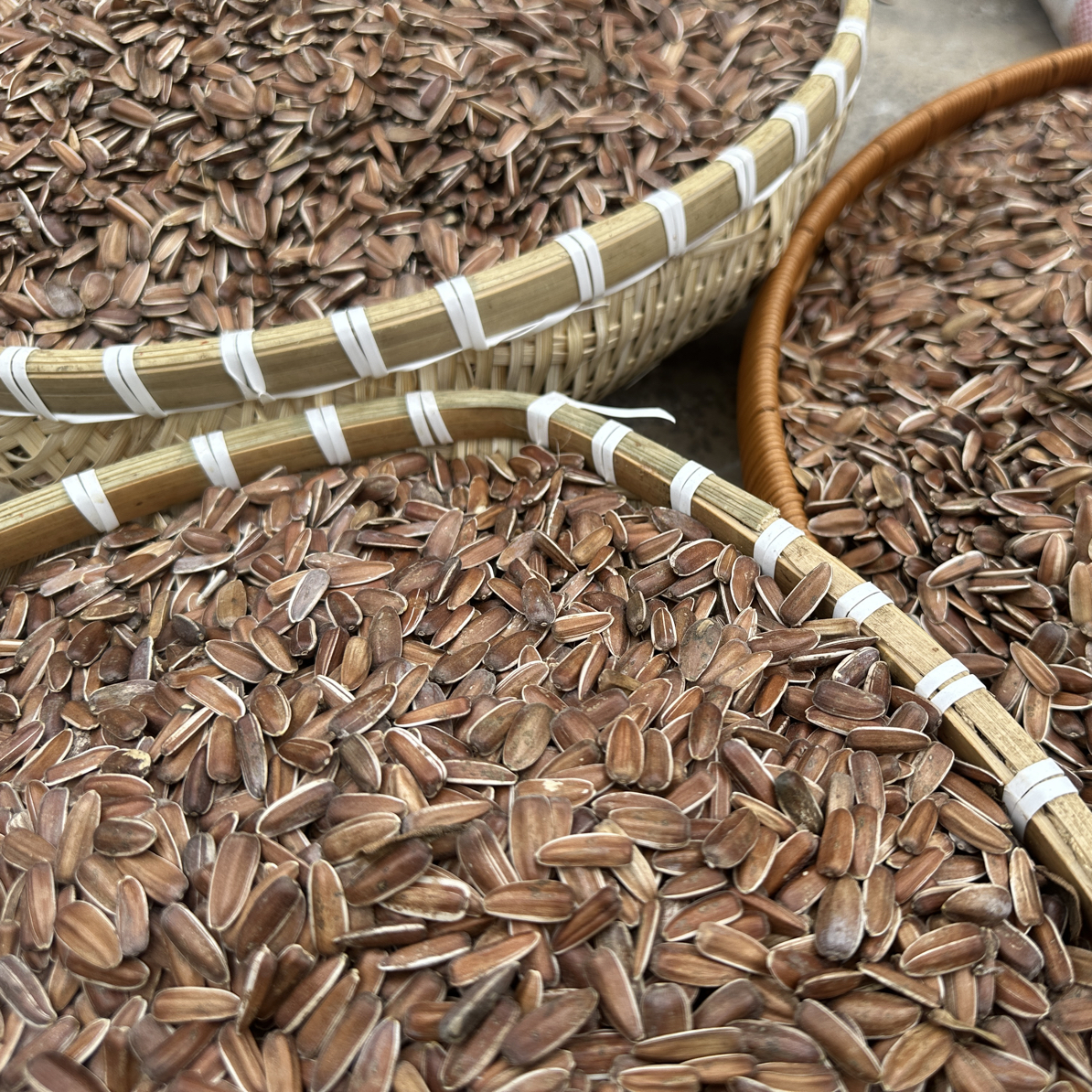 云南特产红皮生瓜子大颗粒山地葵花籽农家自种