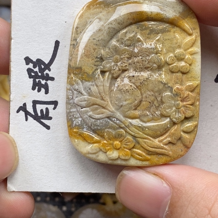 硅化珊瑚（珊瑚玉）未镶嵌颈饰