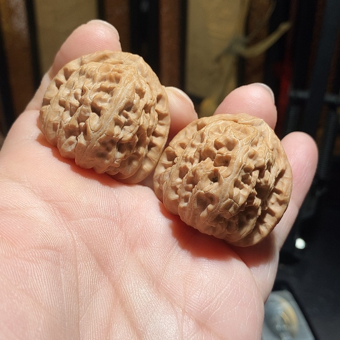 文玩核桃把件38三角白全品