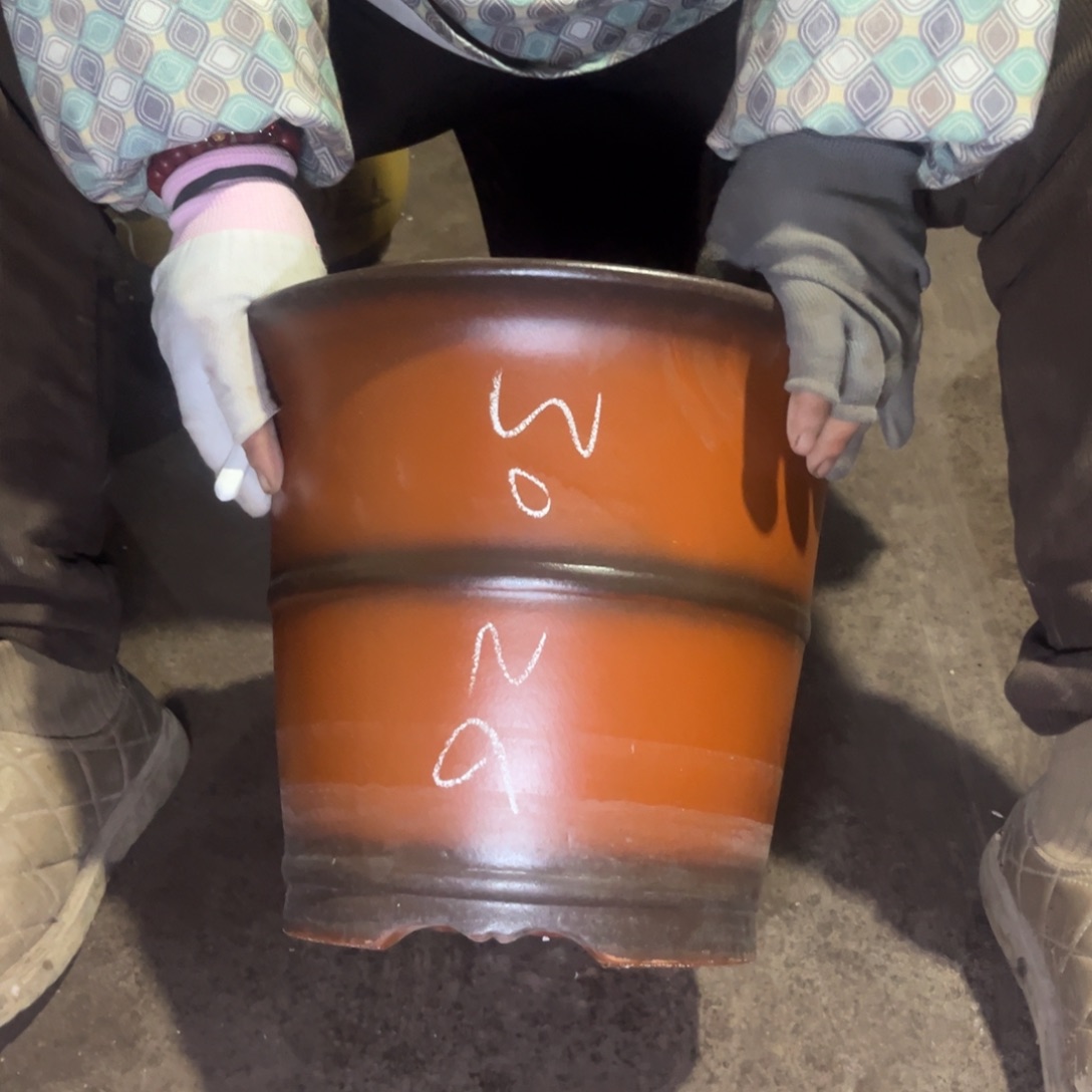 紫泥花盆紫砂花盆84