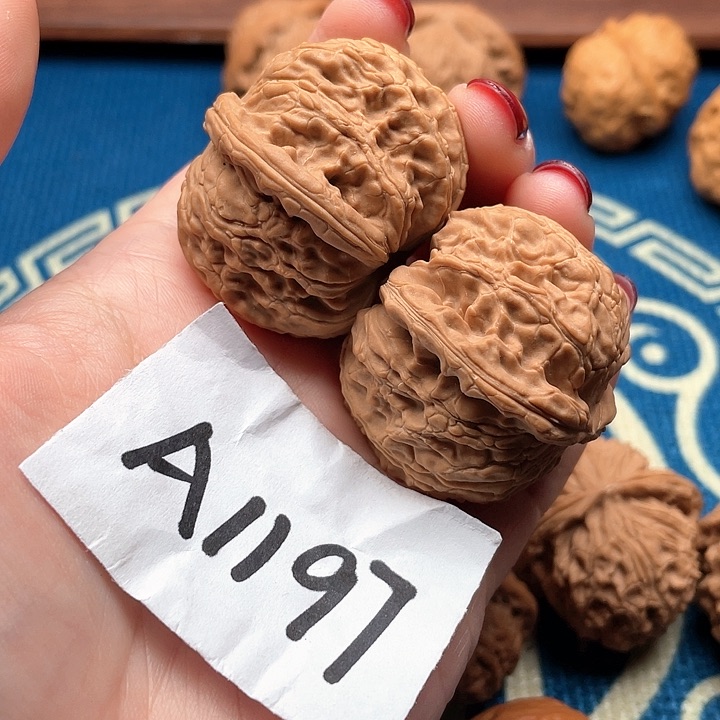 文玩核桃把件白狮子40米11111111111