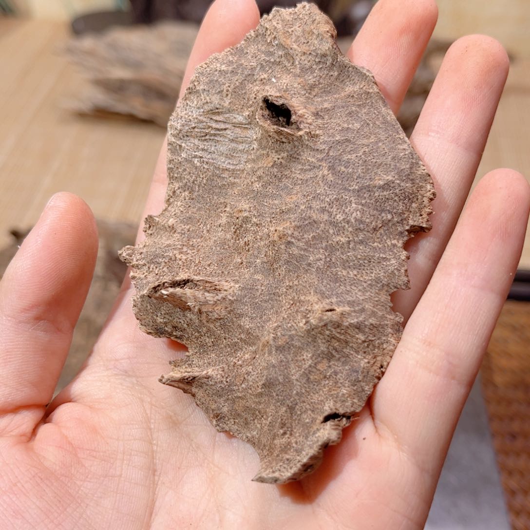 香榧木海南木料尖峰岭包头9克