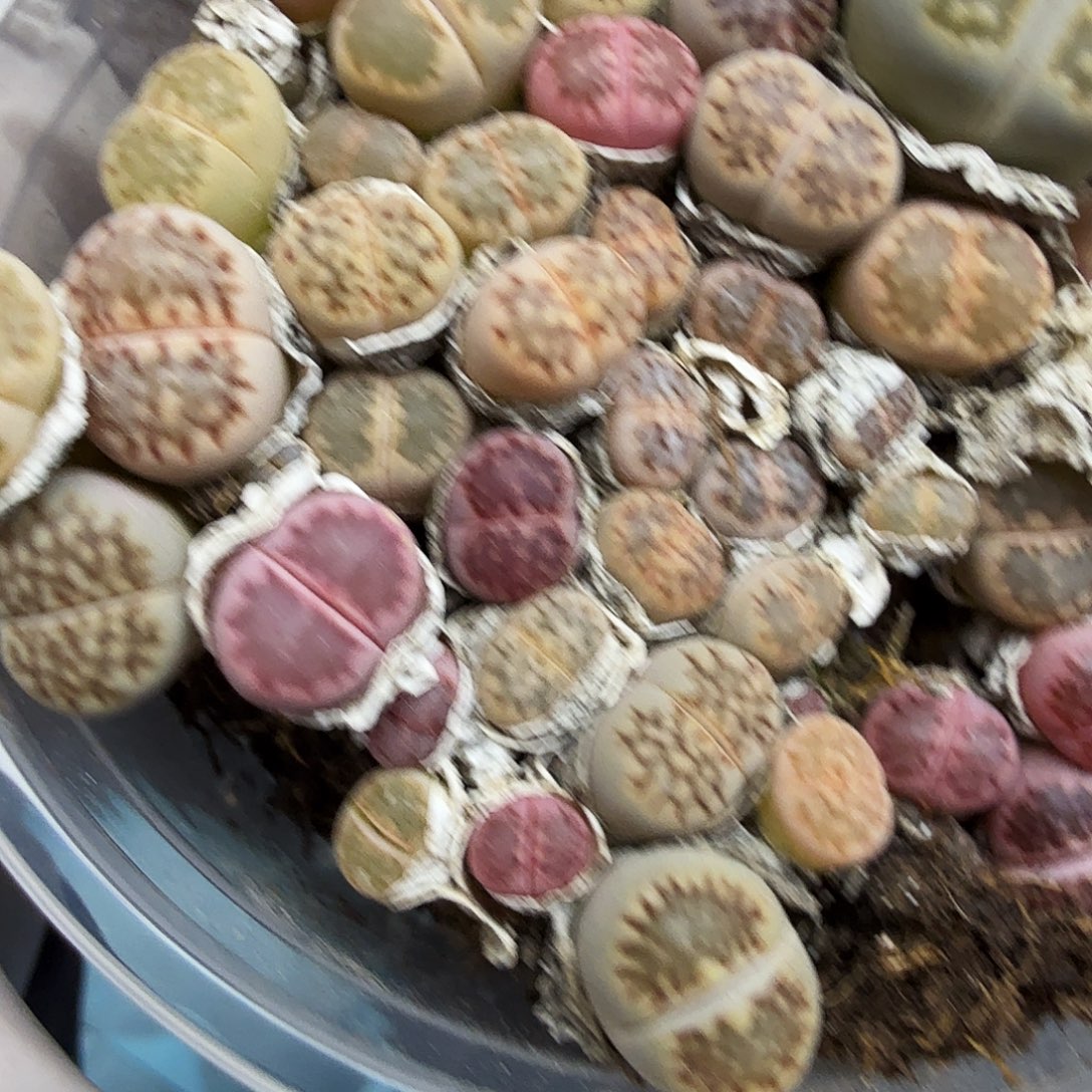 你好忙的嘛啊哈哈你099