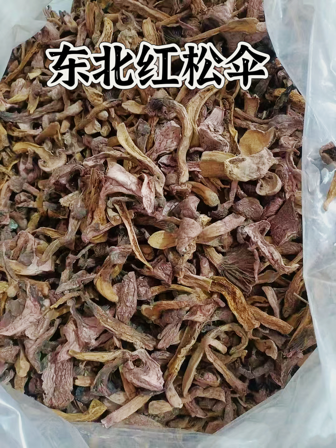 东北特产野生松树伞红蘑肉蘑自然晾晒食用菌干货