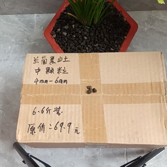 缘***兰兰菌黑山土中颗粒6.6斤