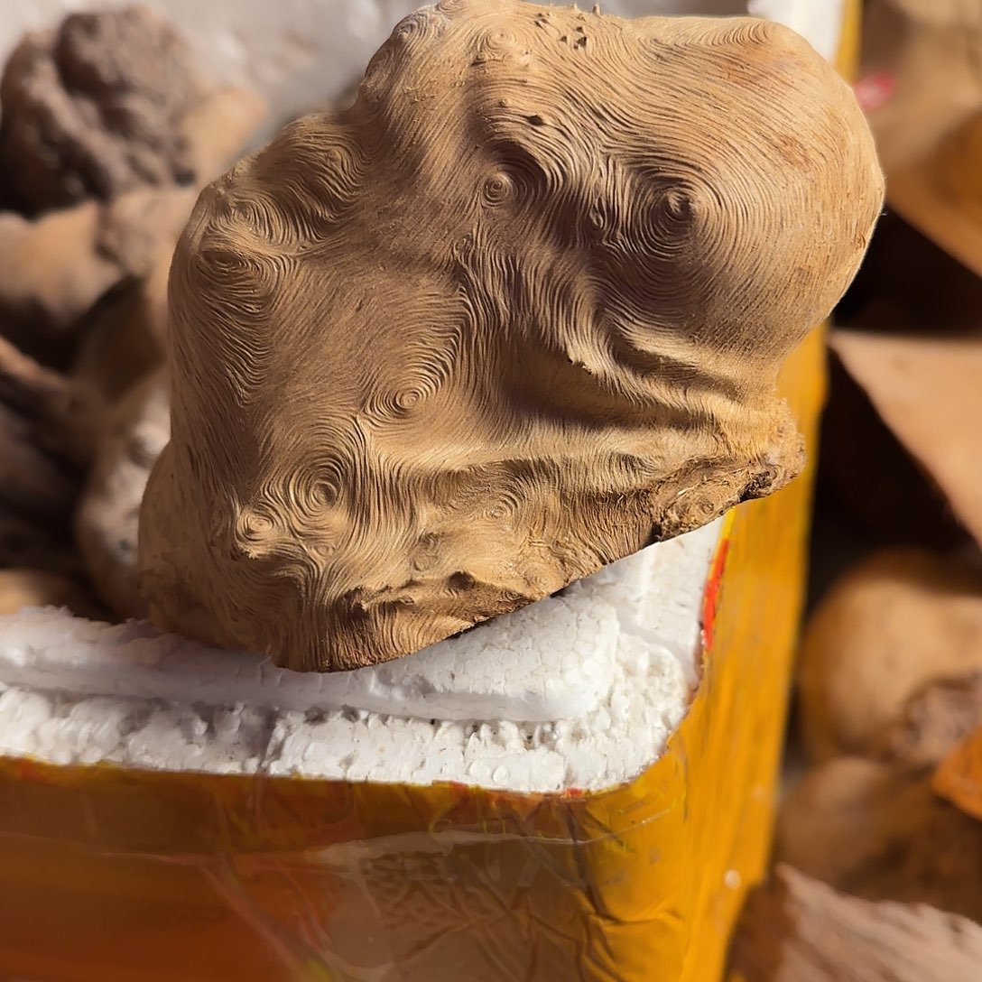 石***狂荔枝木香炉香炉毛料毛料