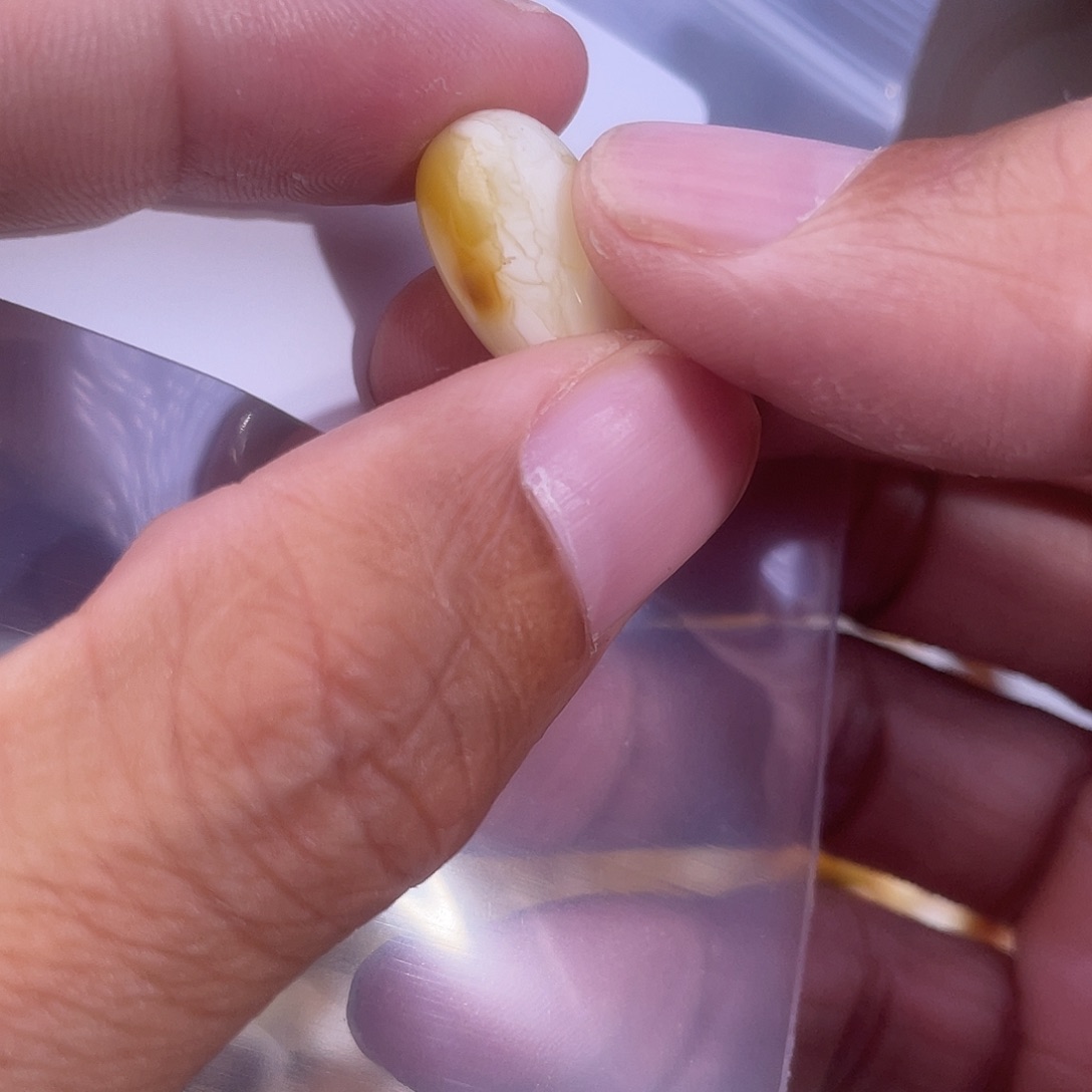 琥珀未镶嵌裸石蜜蜡