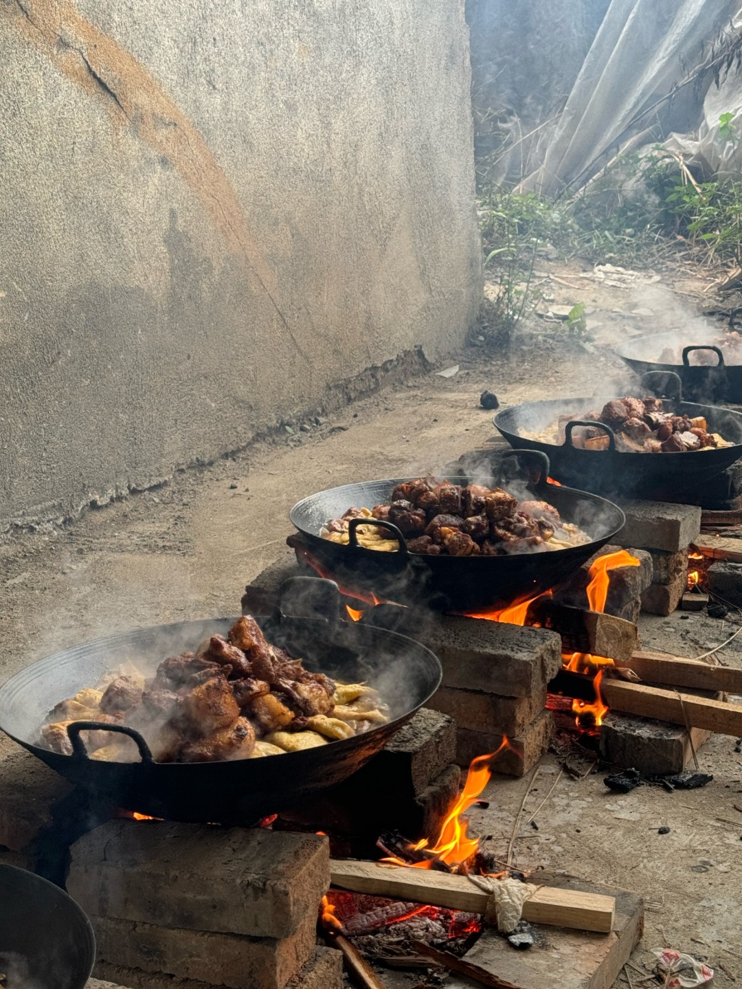 2025新橘子皮炒四脚土货  发货以锅里照片土货为准