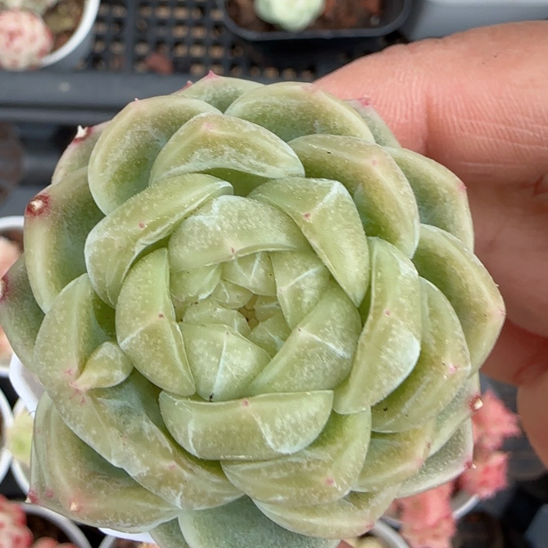 【闪购商品】0224-44财富
