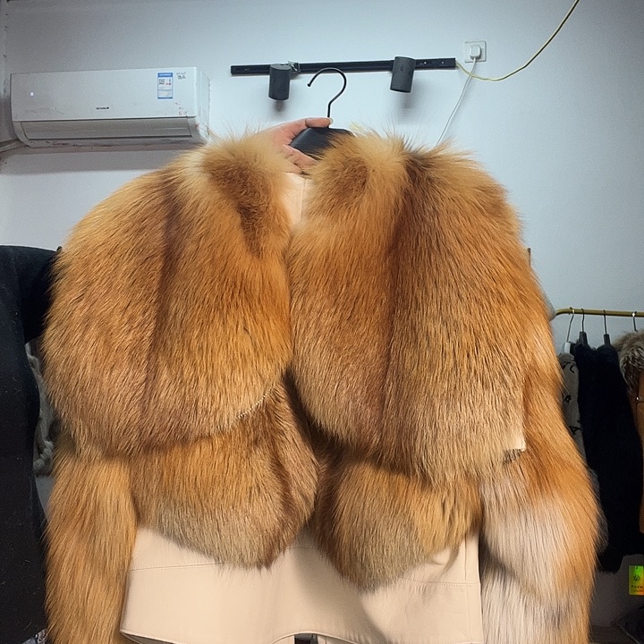 狐狸皮狐狸毛红狐狐狸王