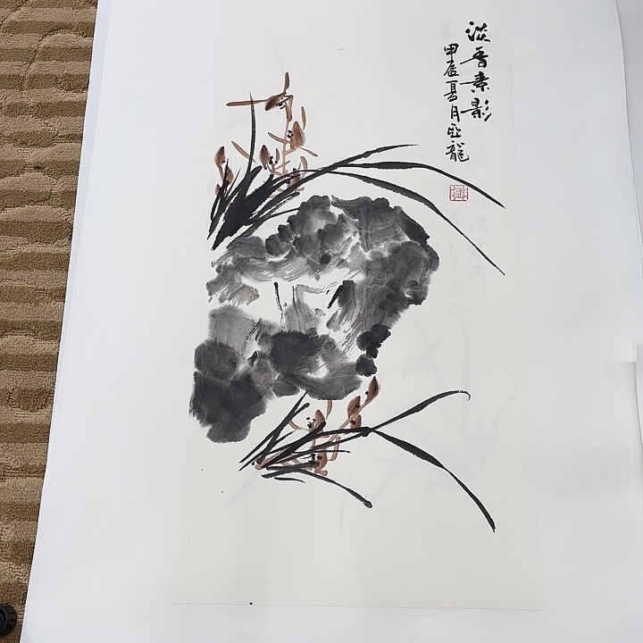 国画花鸟的翅膀是白色