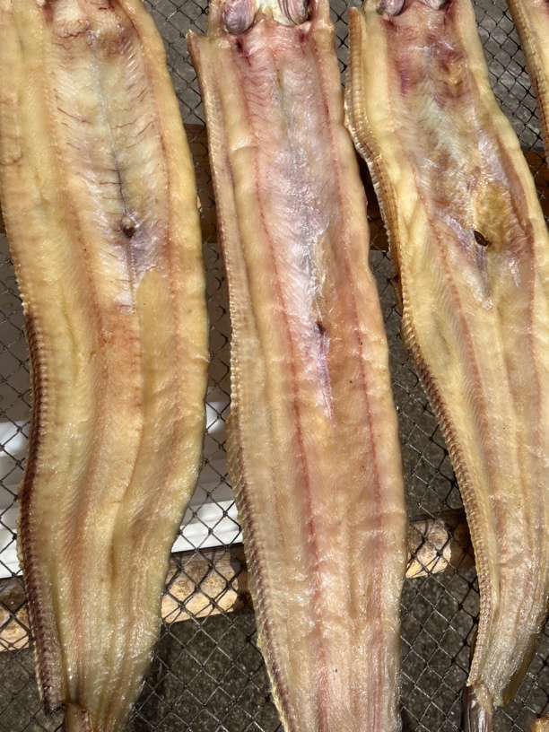 象山石浦天然油鳗干七星油鳗