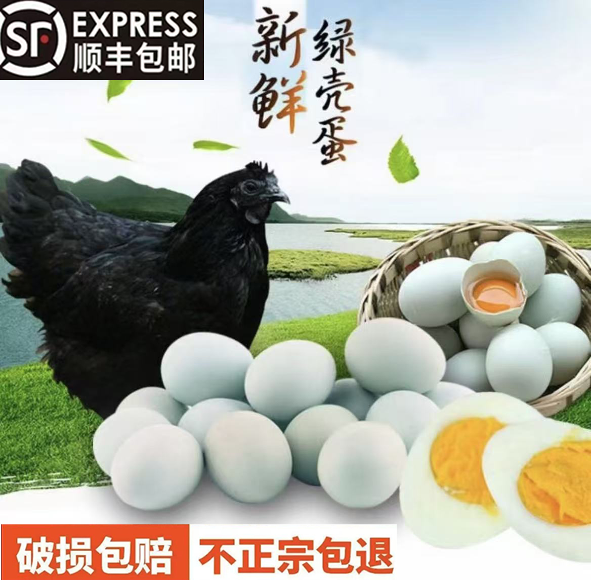 【京东包邮】乌鸡蛋到手五十枚四斤三两以上乌鸡蛋绿壳