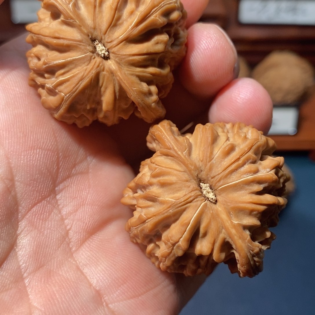 文玩核桃把件⑧核桃