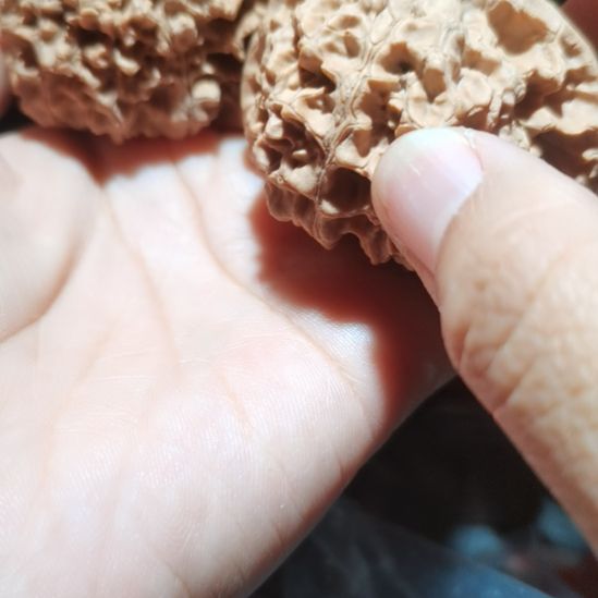 猴头核桃吊坠51龙鼎官帽