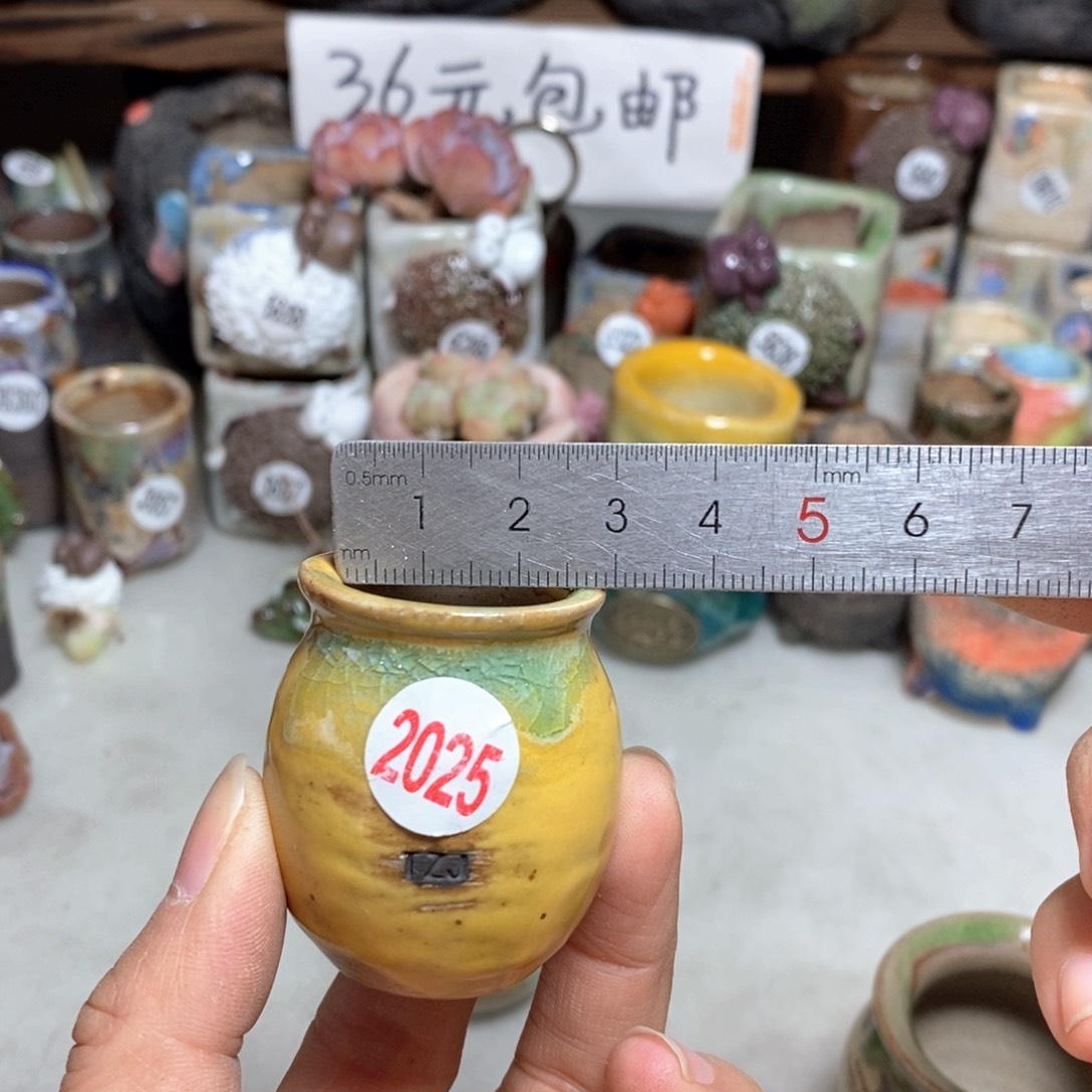 拍5送一个小礼物