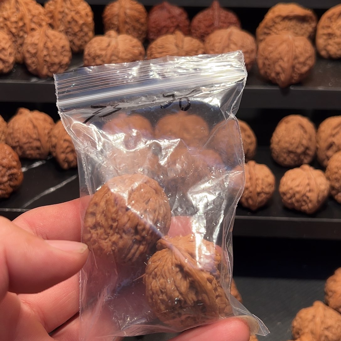 文玩核桃把件琪*吖涿鹿南疆手捻33