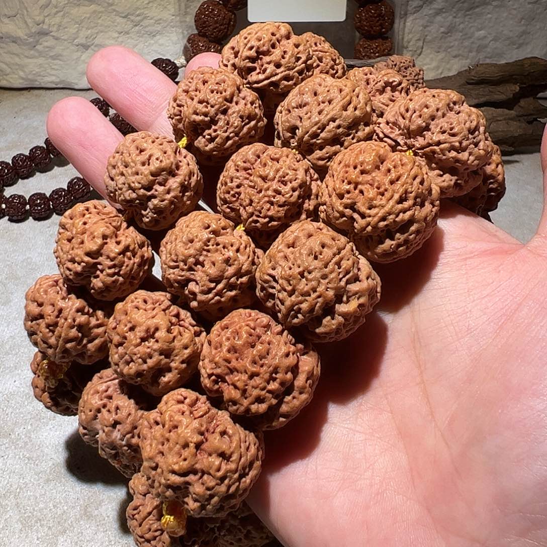 金刚菩提手串23尺寸左右安娜粗肉蜂窝福利