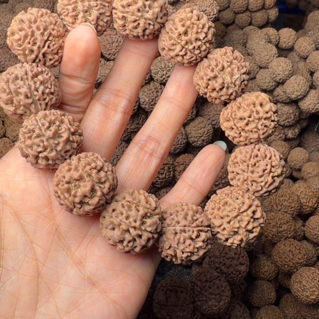 金刚菩提手串8瓣卡22尺，58号