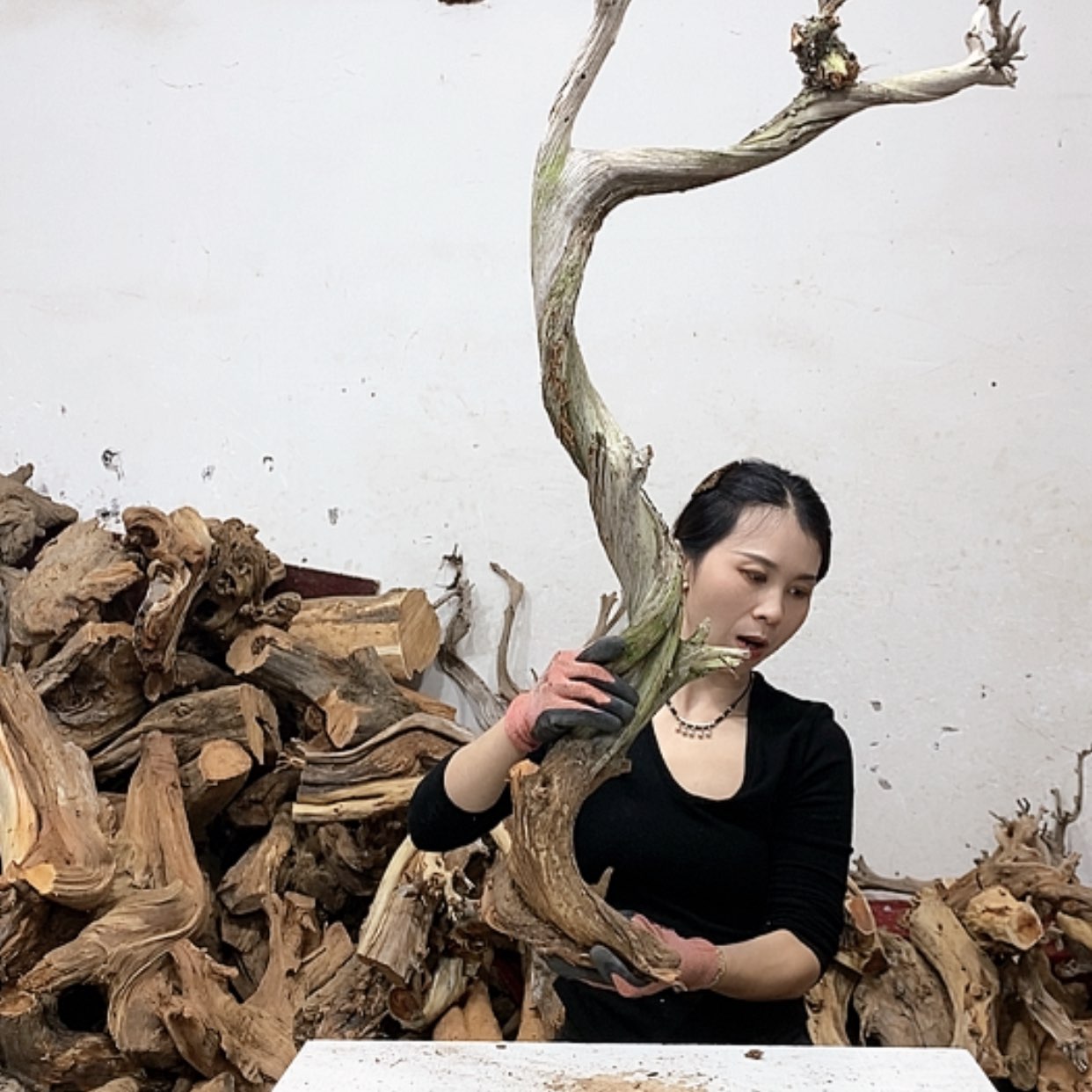 【闪购商品】柏木岁**声我们都是好孩子