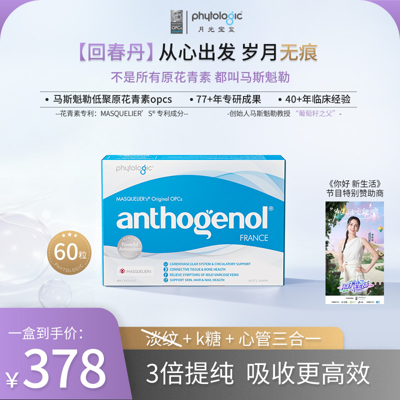 【达人】月光宝盒马斯魁勒低聚原花青素回春丹（淡纹K糖心管）60粒装