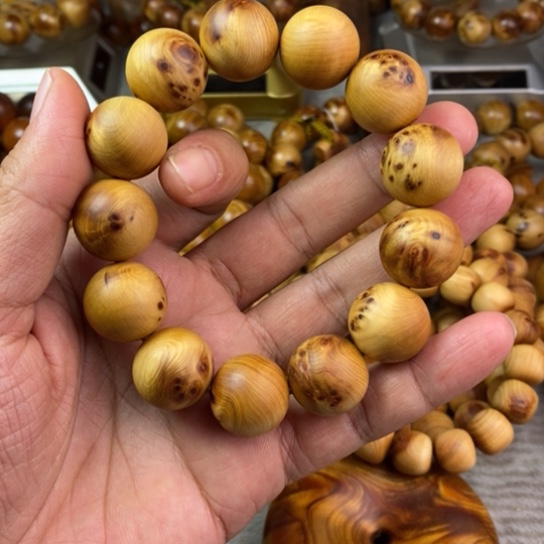 柏木（崖柏）崖柏1.8