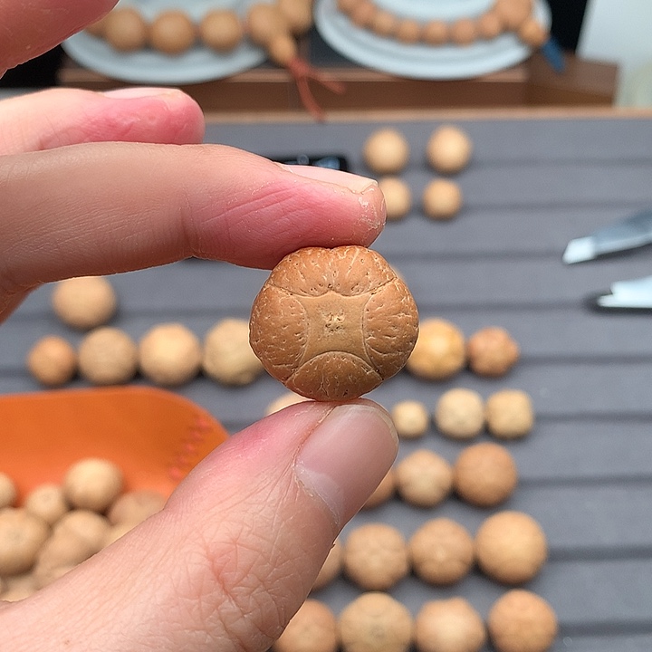 吊坠凤眼菩提樂*特价22+五星，非质量问题开孔不退