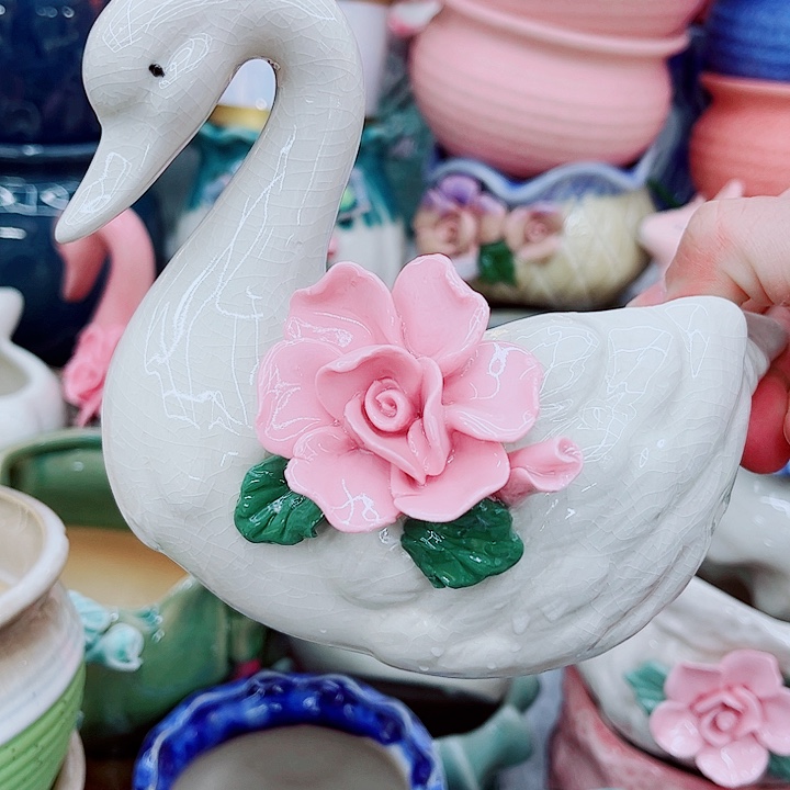 多肉植物陶瓷花盆