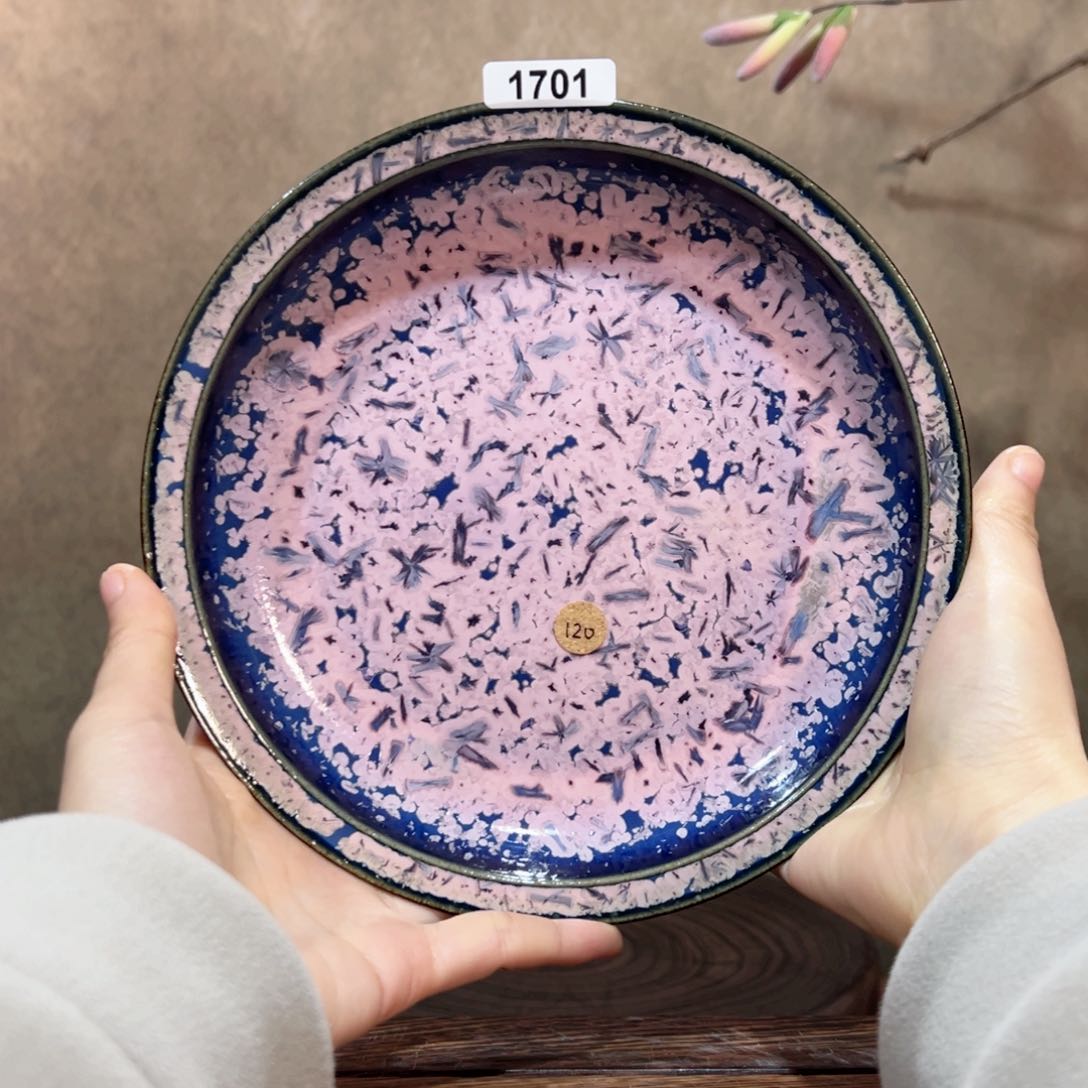 罐1701000000000000000