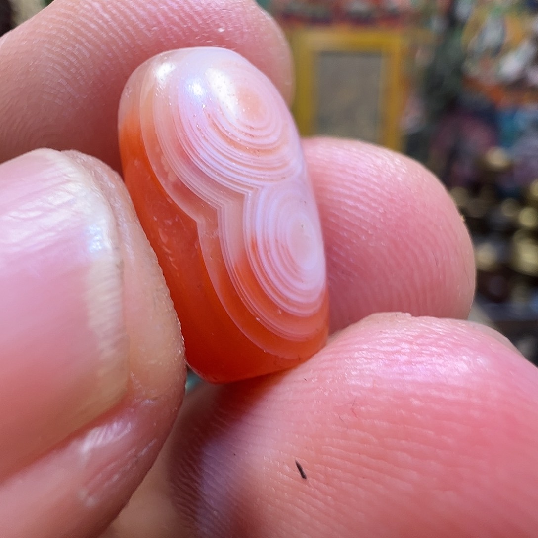 南南小桶珠肋子天然眼睛
