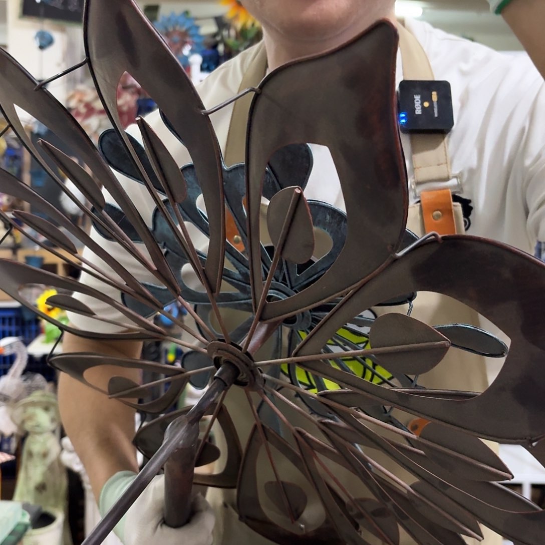 核桃木/黑胡桃（胡桃木）