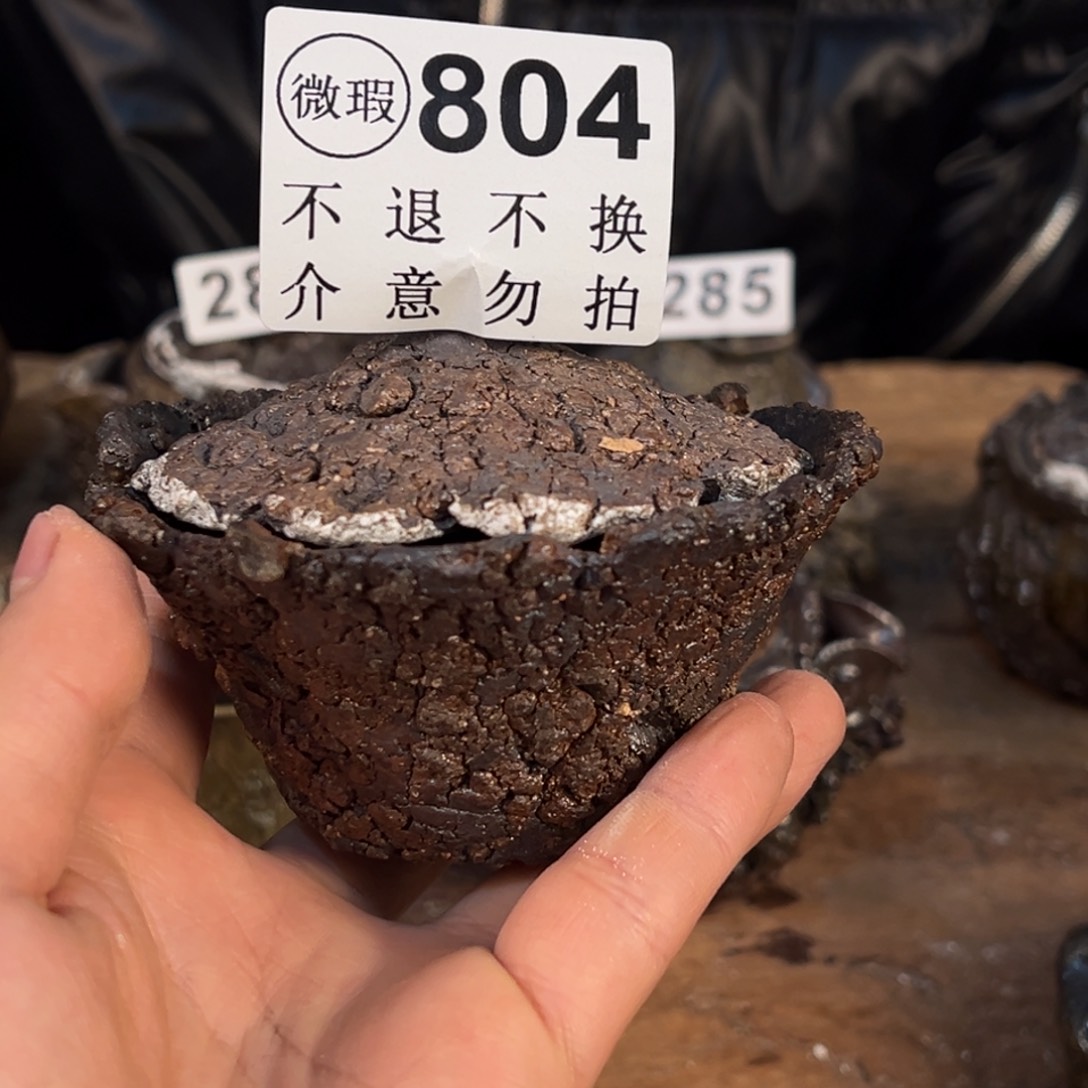 用*壶一一一一一一一一一804