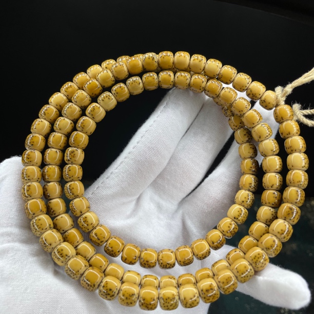 SS级金款 卡8/7糯冰河豚