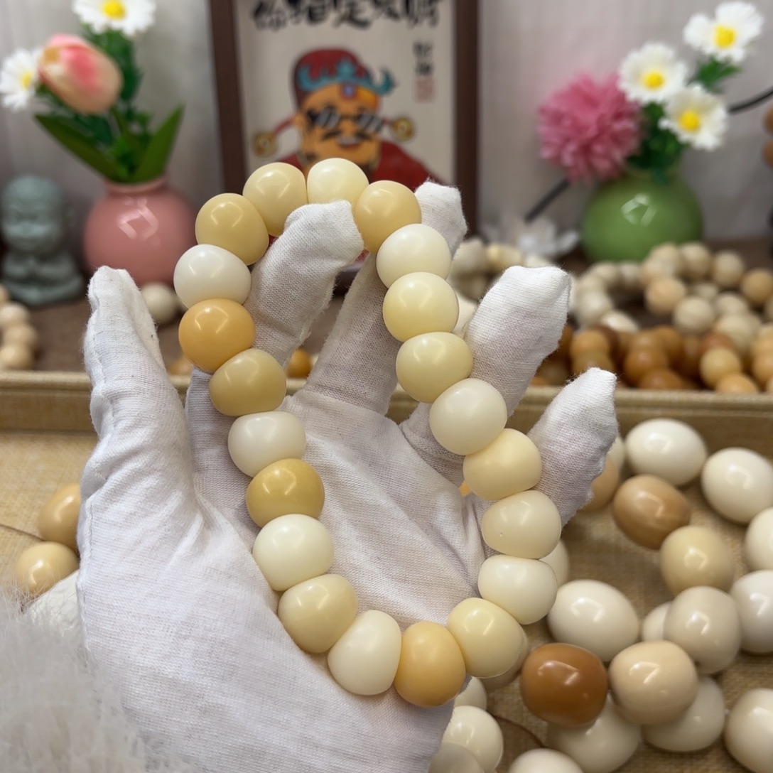 吊坠菩提根/象牙果17干磨瑕疵落地果肠885