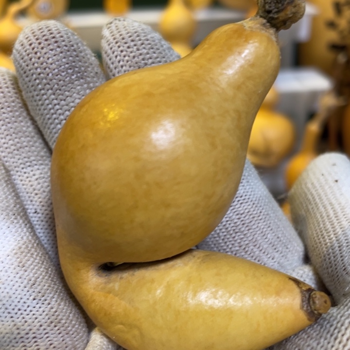 默认微瑕不保龙头