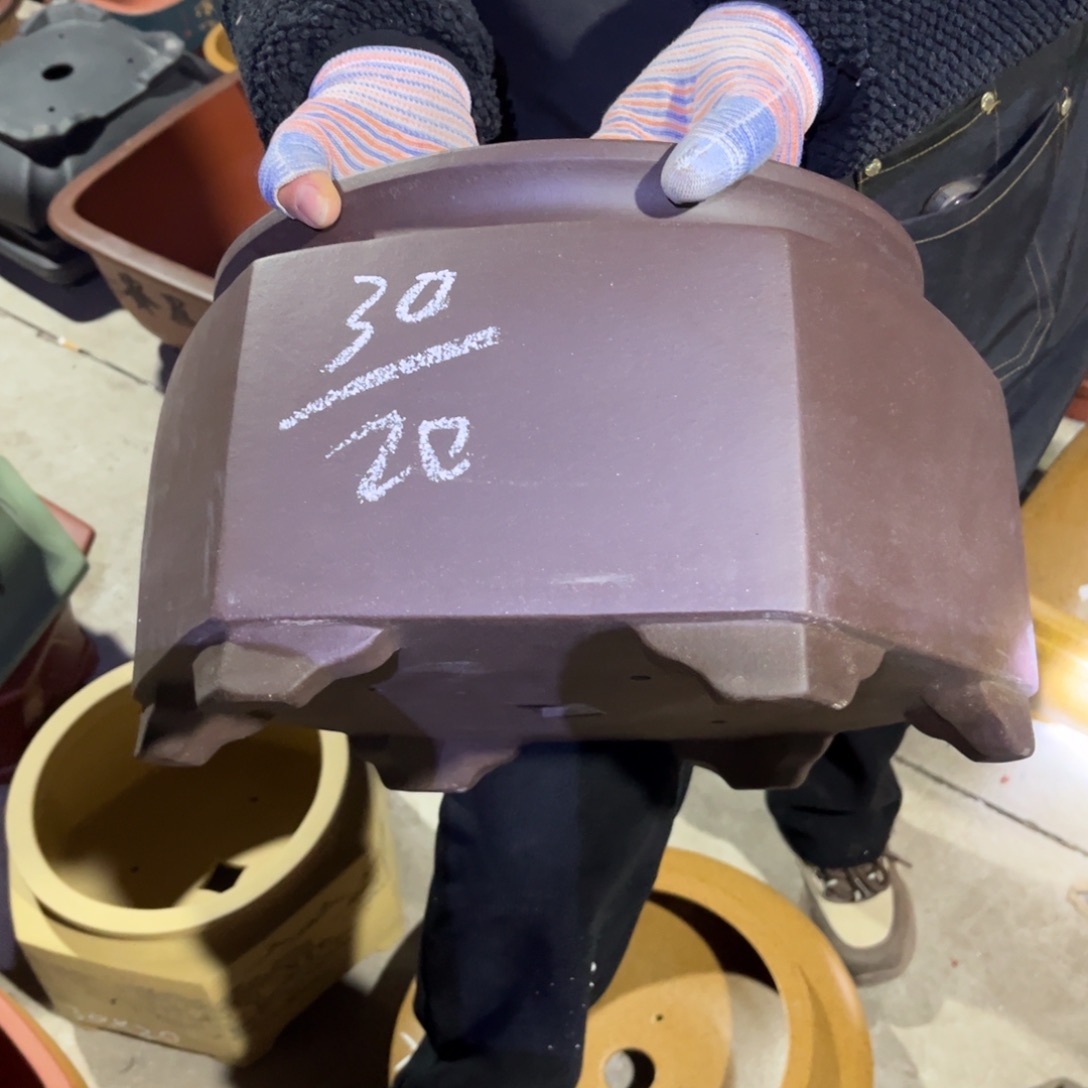 紫砂花盆盆景艺术