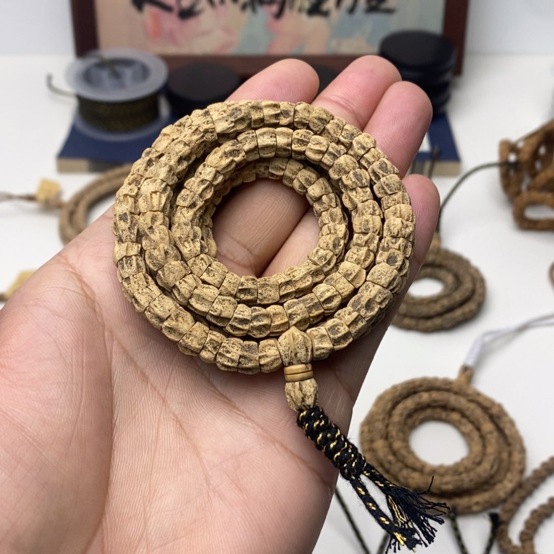 热振柏香籽斜切多楞鬼肠108一条