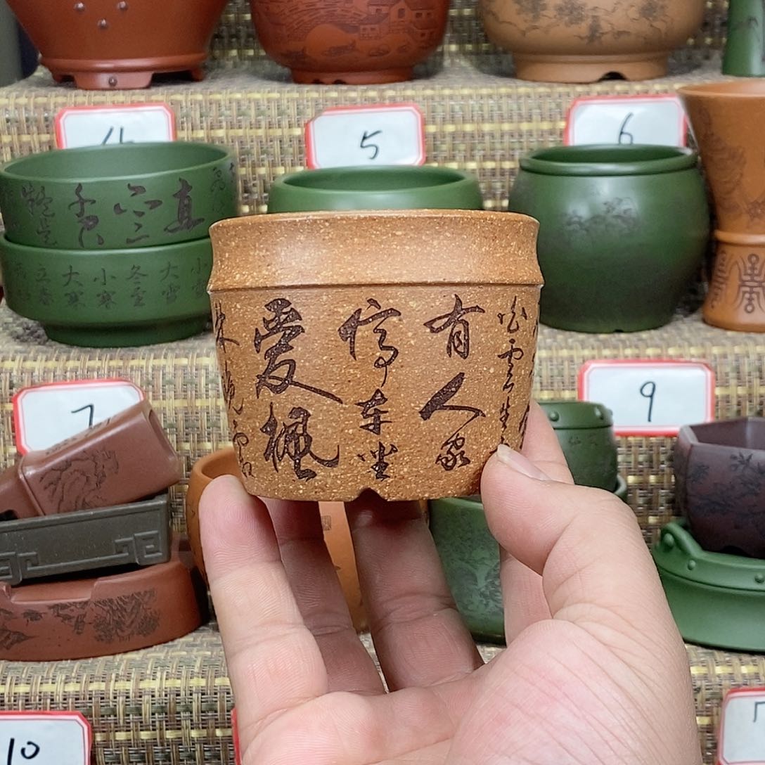 紫砂花盆你不在了