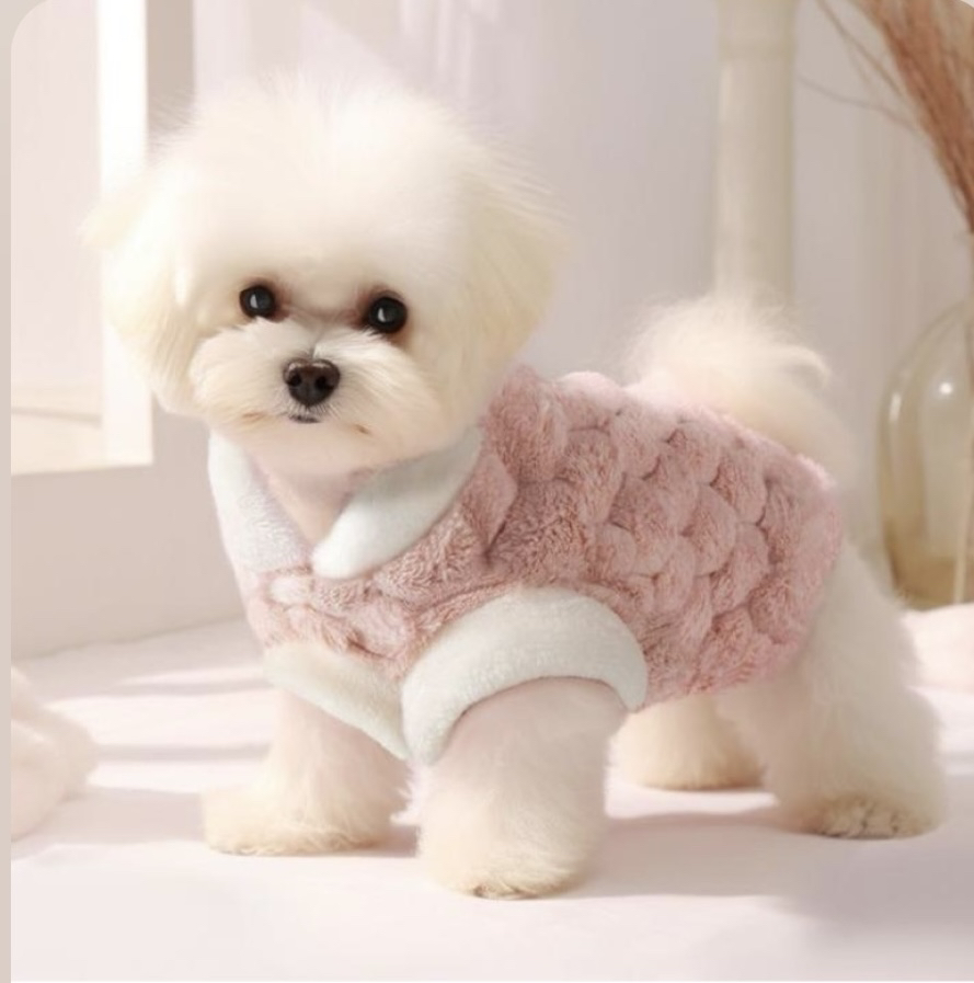 宠物狗猫冬装小型犬加厚保暖衣服泰迪博美比熊