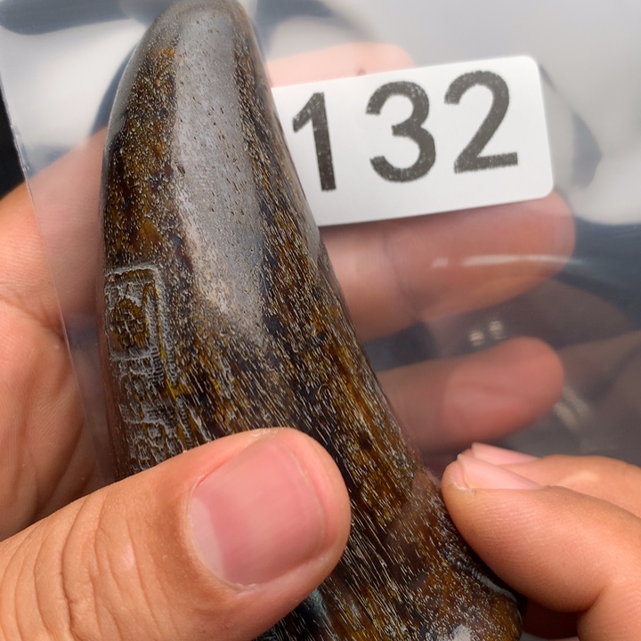 大果紫檀（缅甸花梨）