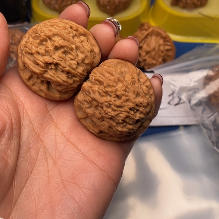 一***肉桃核吊坠白狮子核桃