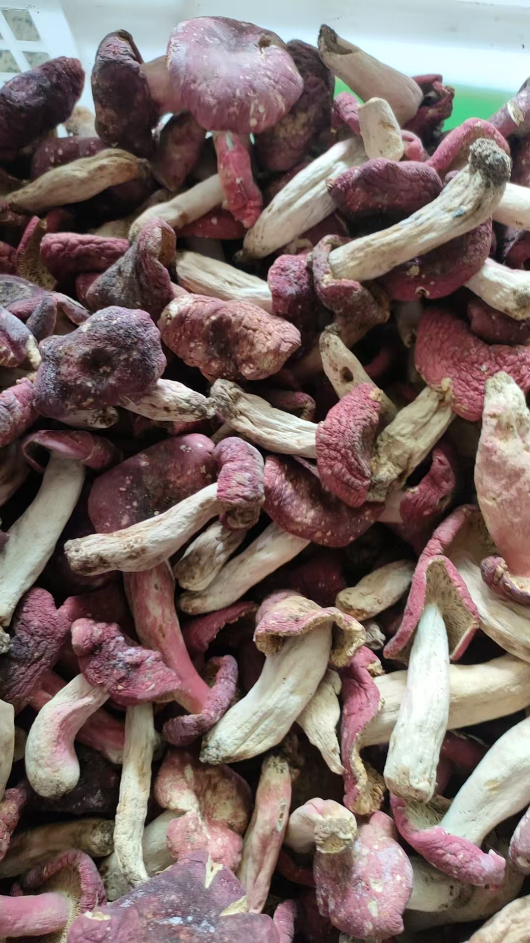 巴山野生红菇，深山天然菌菇煲汤味美山珍菌菇干货，适合煲炖汤