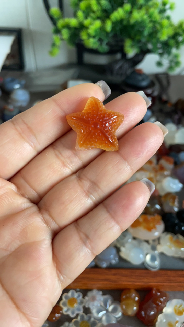 天然玛瑙海星项链