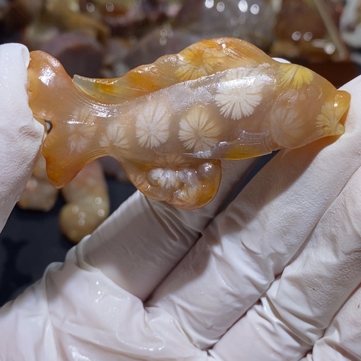 【闪购商品】未镶嵌珊瑚玉硅化玉b**b