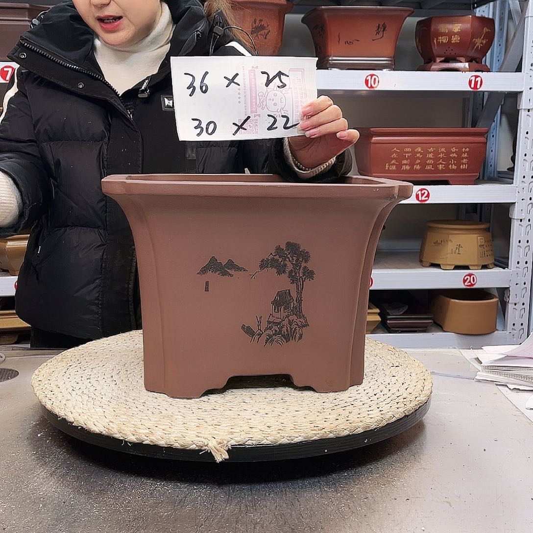 紫砂花盆紫砂花盆里