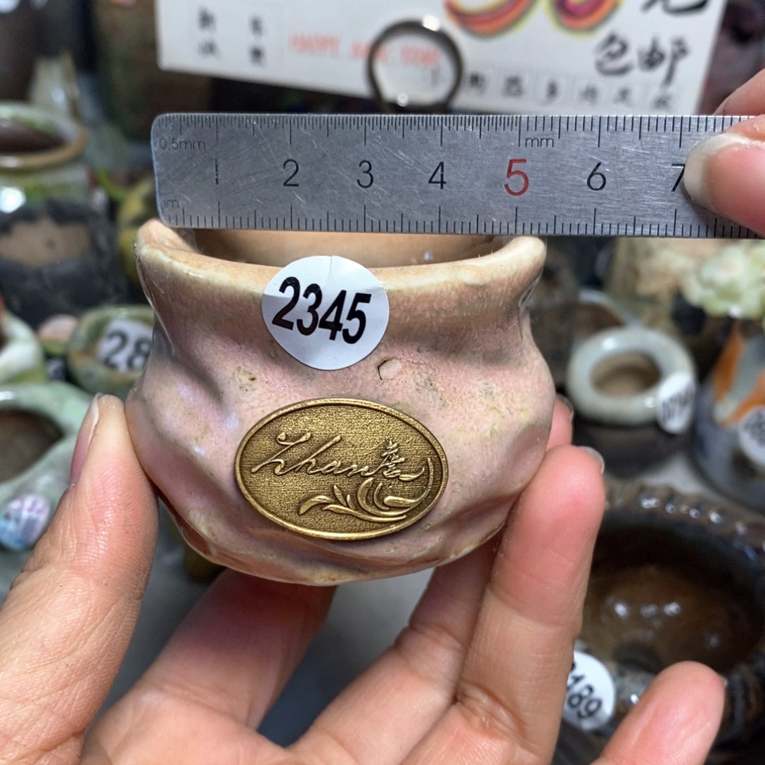 特价花盆拍5送一个小礼物