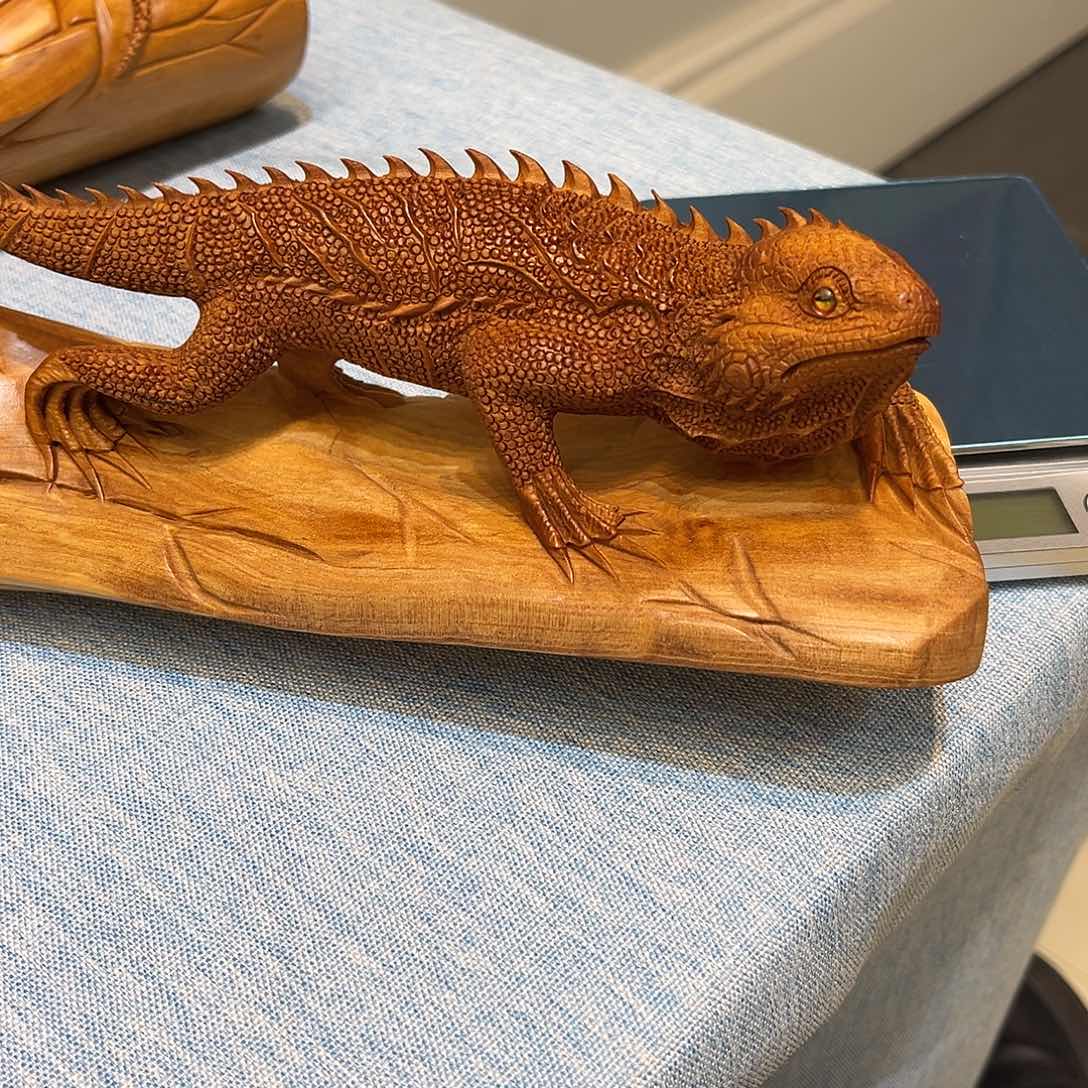 檀香木天**在印度老山檀香