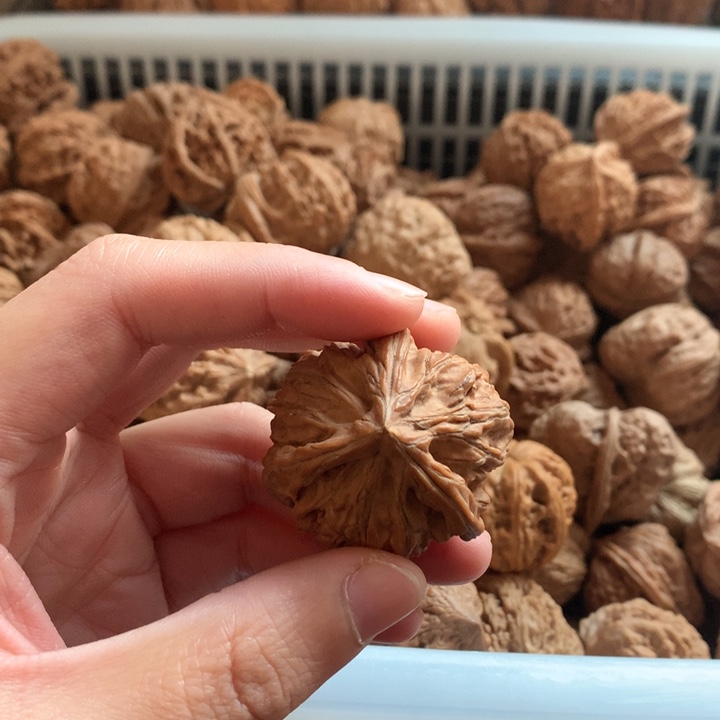 哥***文玩核桃把件文山奔